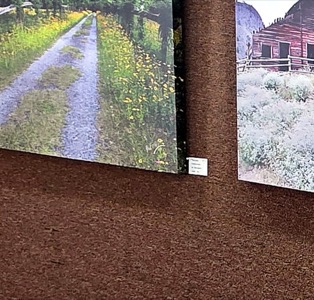 A local photograph on display.